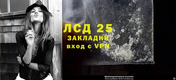ГАЛЛЮЦИНОГЕННЫЕ ГРИБЫ Абаза
