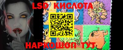 гидра Новодвинск
