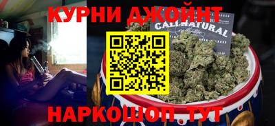 гидра Новодвинск