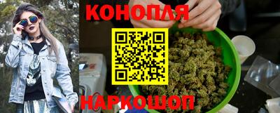 гидра Новодвинск