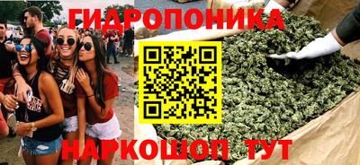 гидра Новодвинск