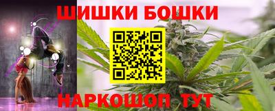 гидра Новодвинск